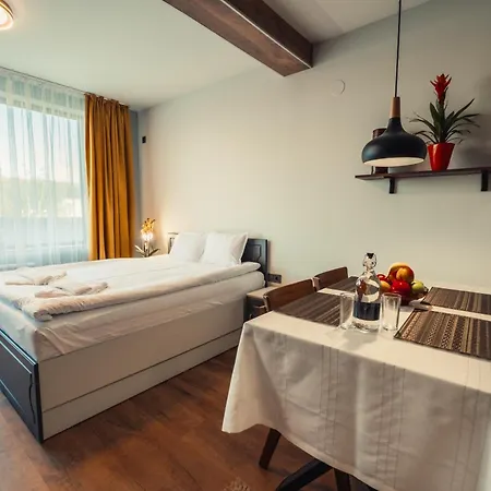 Mirror Apartment Samokov